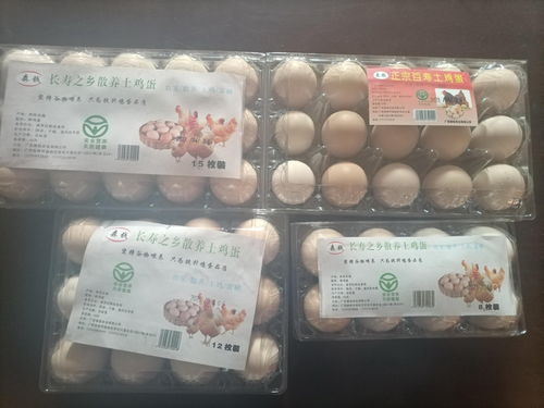 贴上 绿色食品 标识 普通鸡蛋售价能翻倍