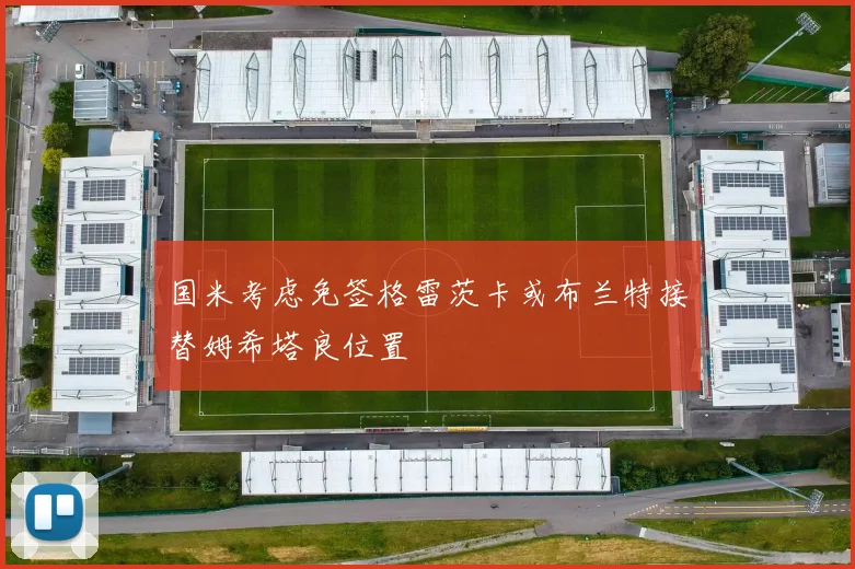 国米考虑免签格雷茨卡或布兰特接替姆希塔良位置